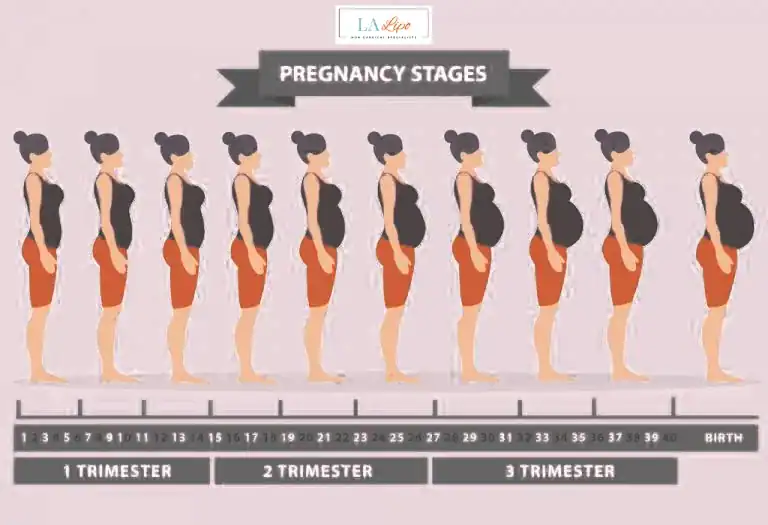 First Trimester (Weeks 1–12): Early Changes You Might Not Notice Llanelli